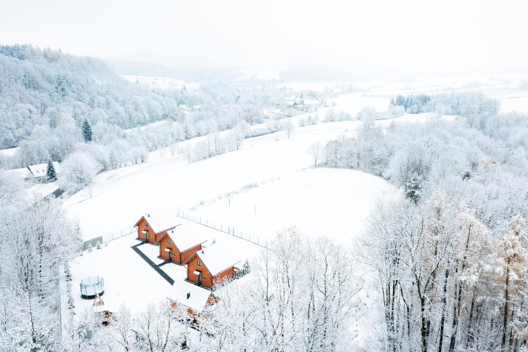 Sloneczne Domki Sudety - Domki Caloroczne Kotlina Klodzka Stary Waliszow Buitenkant foto