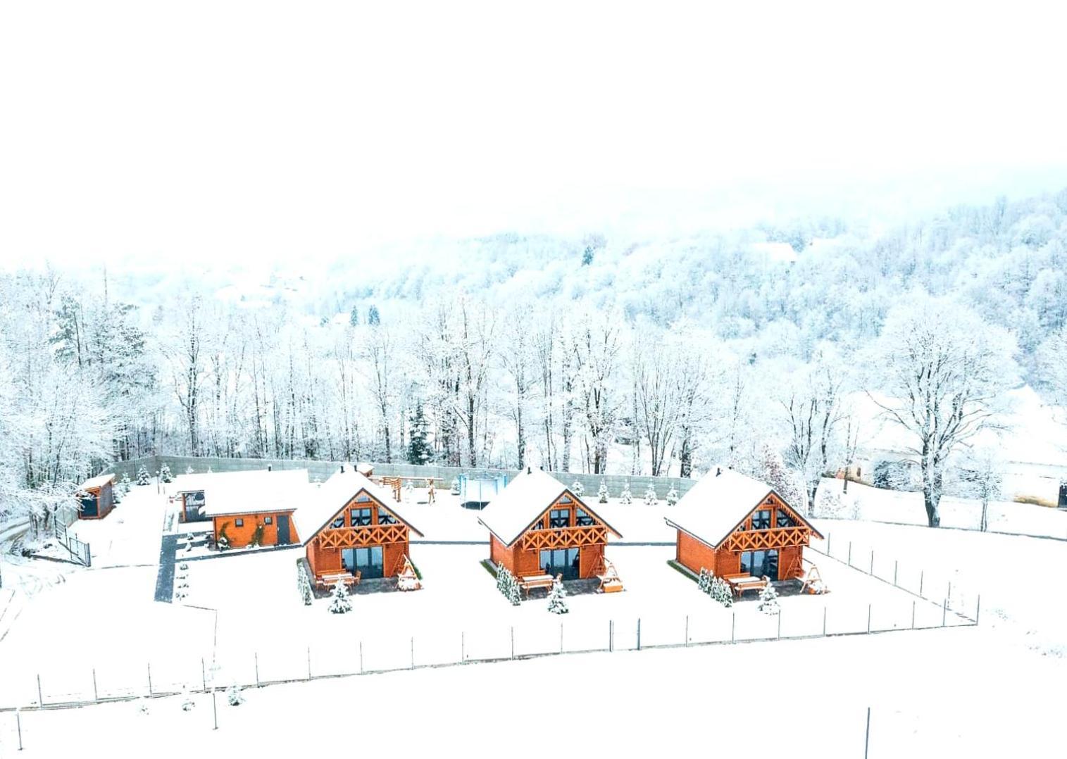Sloneczne Domki Sudety - Domki Caloroczne Kotlina Klodzka Stary Waliszow Buitenkant foto