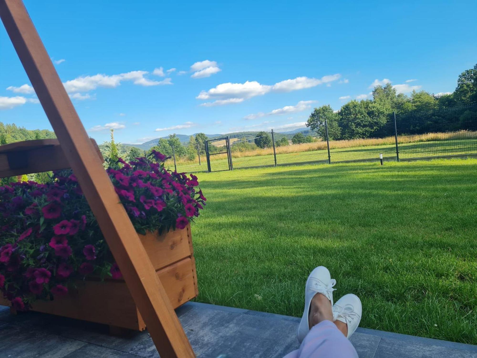 Sloneczne Domki Sudety - Domki Caloroczne Kotlina Klodzka Stary Waliszow Buitenkant foto