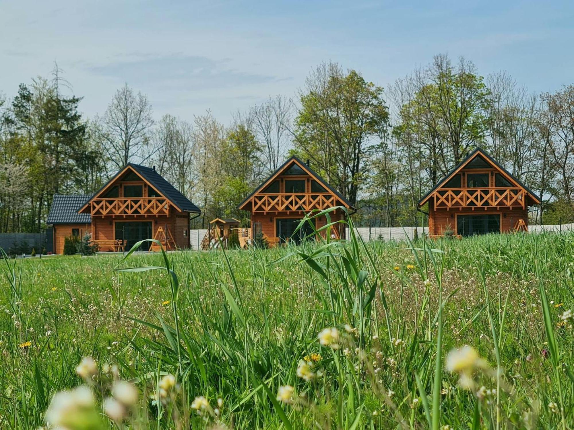 Sloneczne Domki Sudety - Domki Caloroczne Kotlina Klodzka Stary Waliszow Buitenkant foto